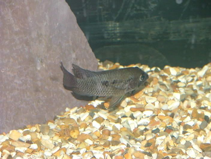 DSCF1897.jpg