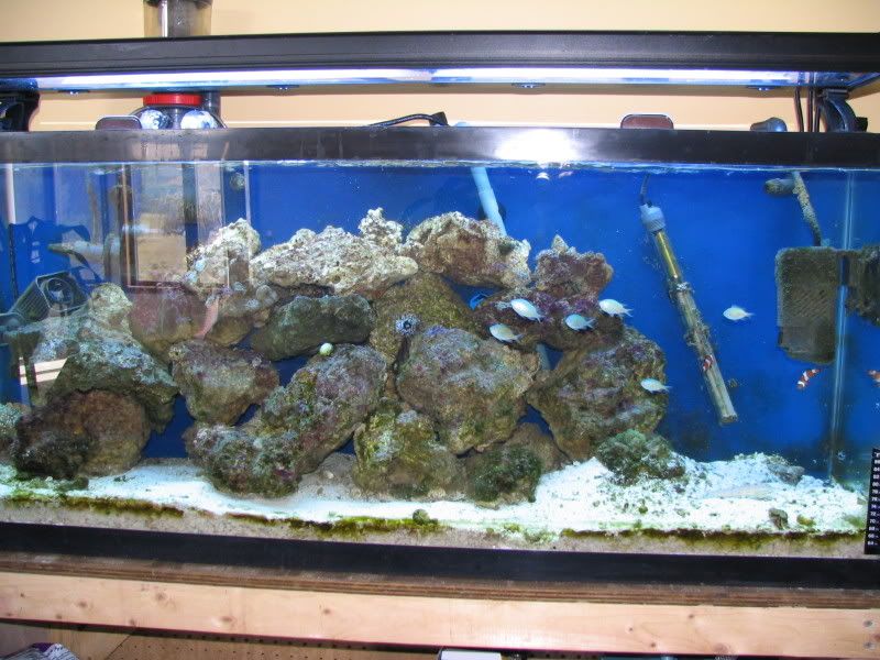 Tank03-007031.jpg