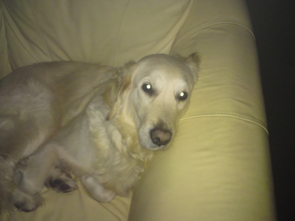 TiredLucy.jpg