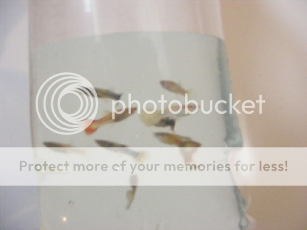 DSCF5983.jpg