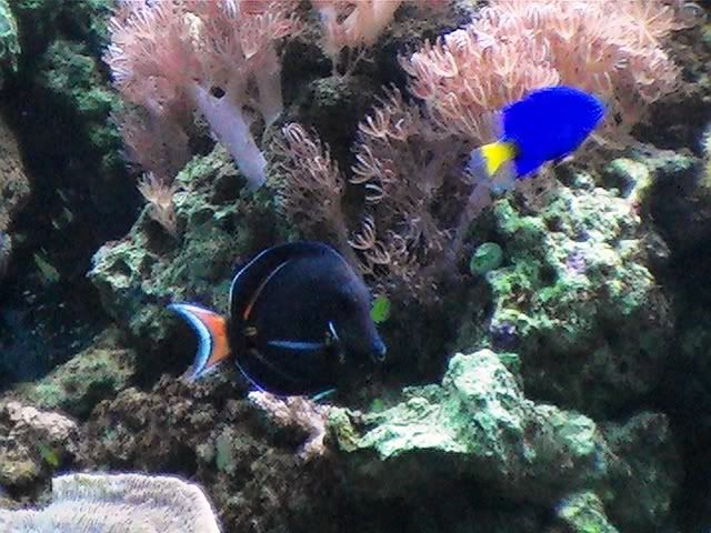 PIC_0211.jpg