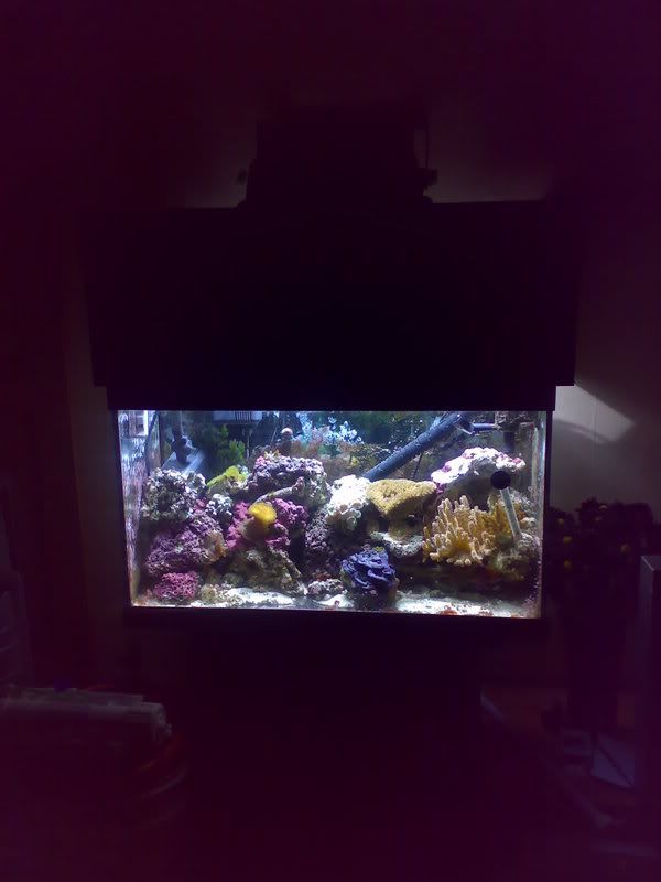 07012007077.jpg