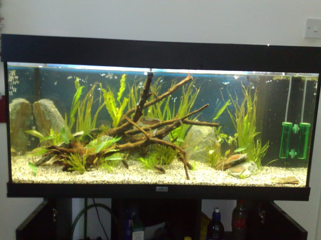 18082010046.jpg