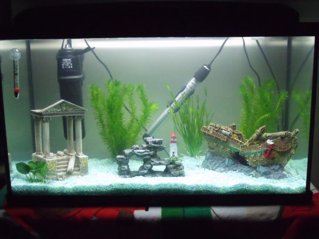 DSCF1412.jpg
