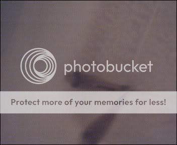 Cam00001-18.jpg