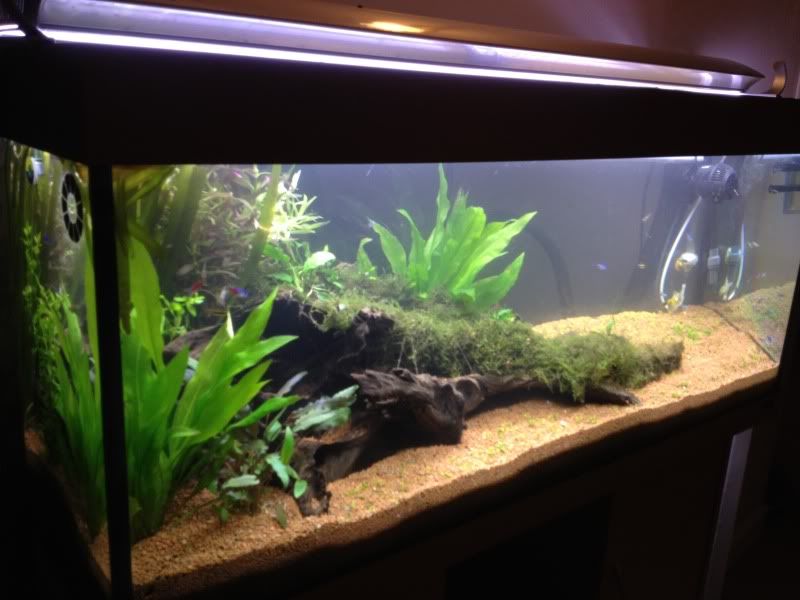 tank055.jpg