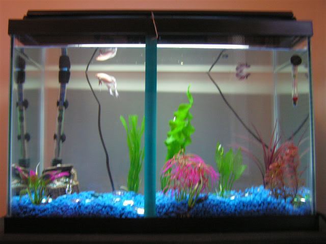 tankpic1.jpg