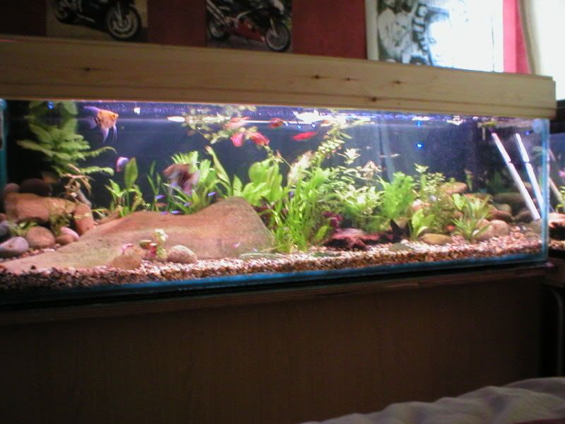 P1010009.jpg
