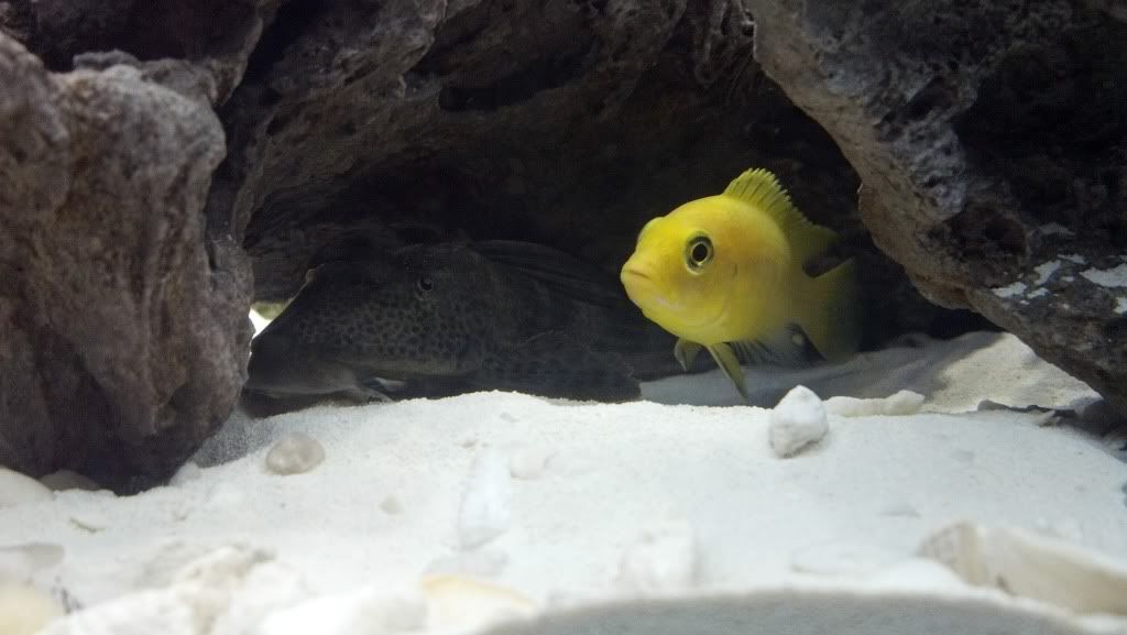 2012-04-08_12-21-25_711.jpg
