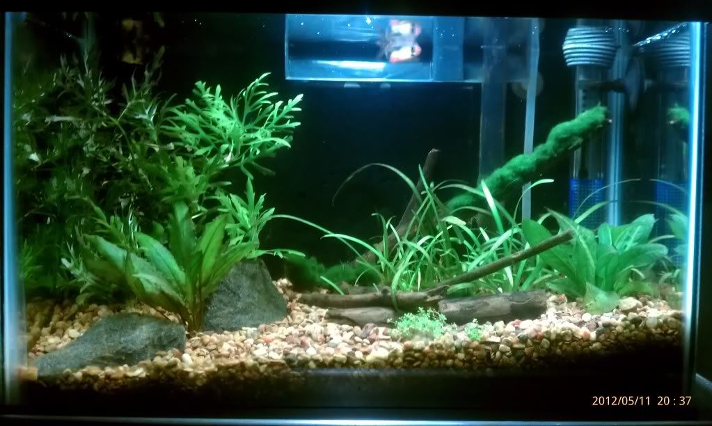 IMAG0296.jpg