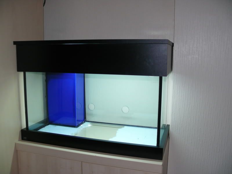June09129.jpg