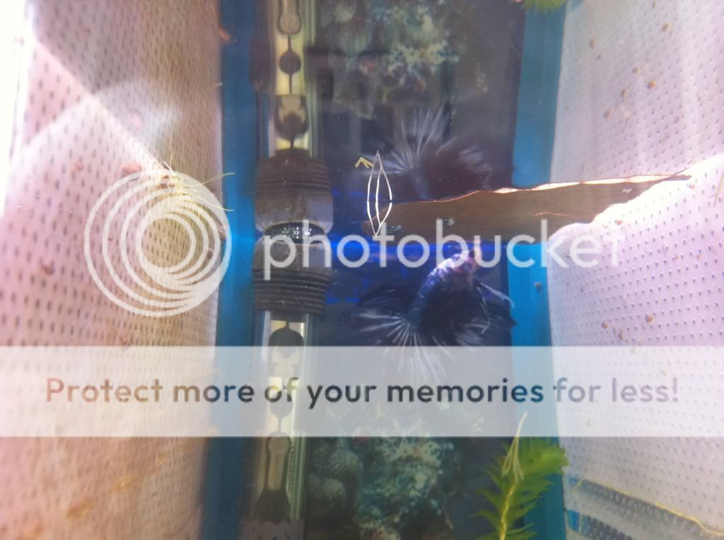 8f0cb8b2.jpg