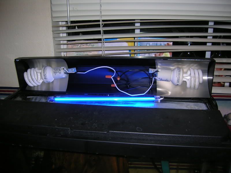 DSCN1170.jpg