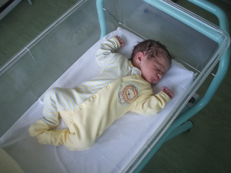 DSCF2464.jpg