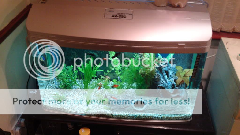 22022010021.jpg