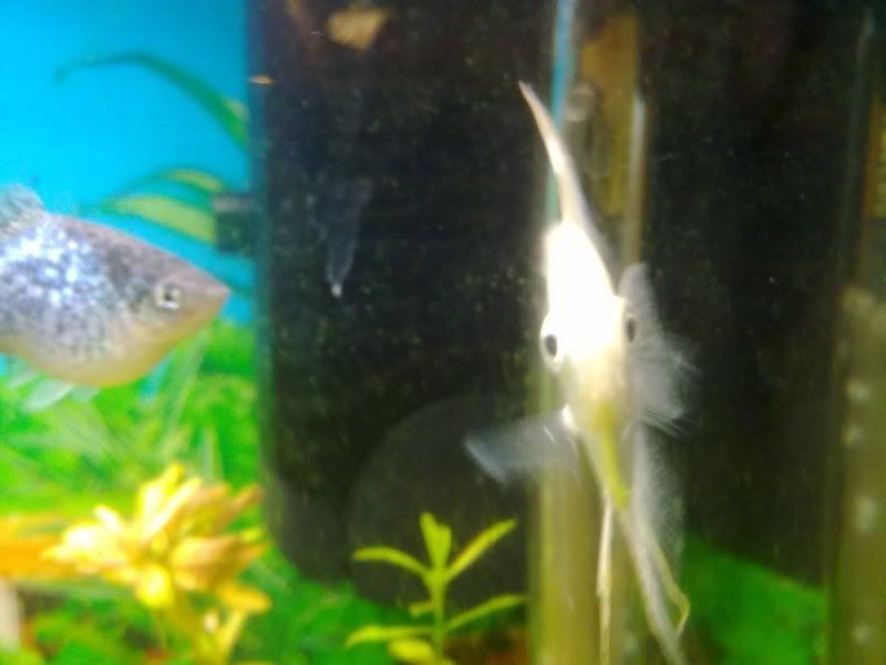 06012012711.jpg