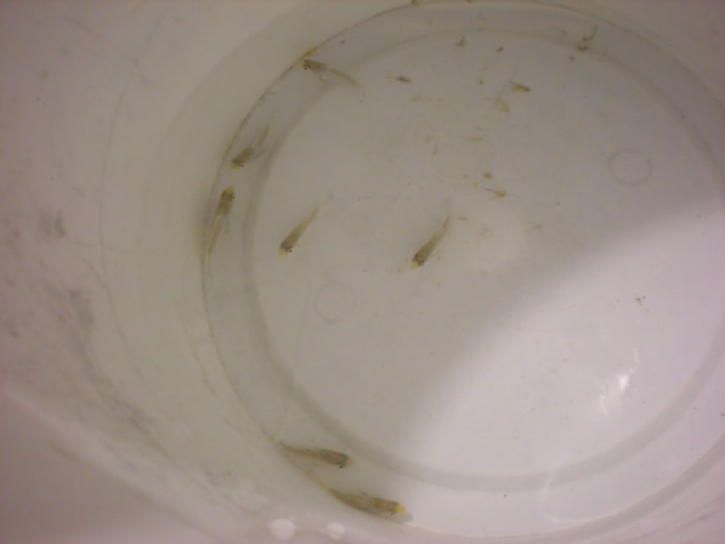 DSCN2259.jpg