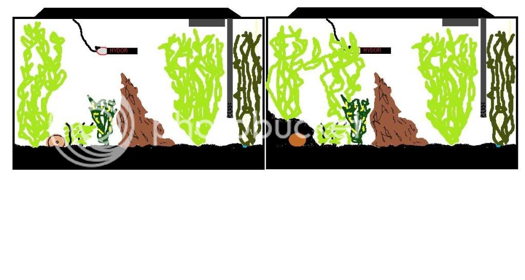 tank.jpg