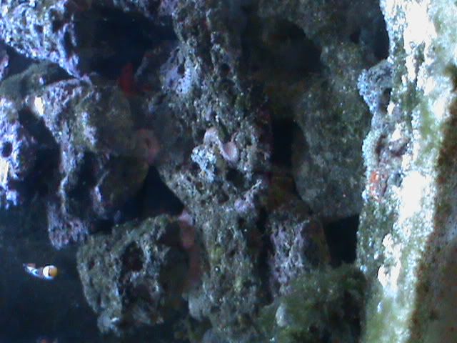 DSC00038.jpg