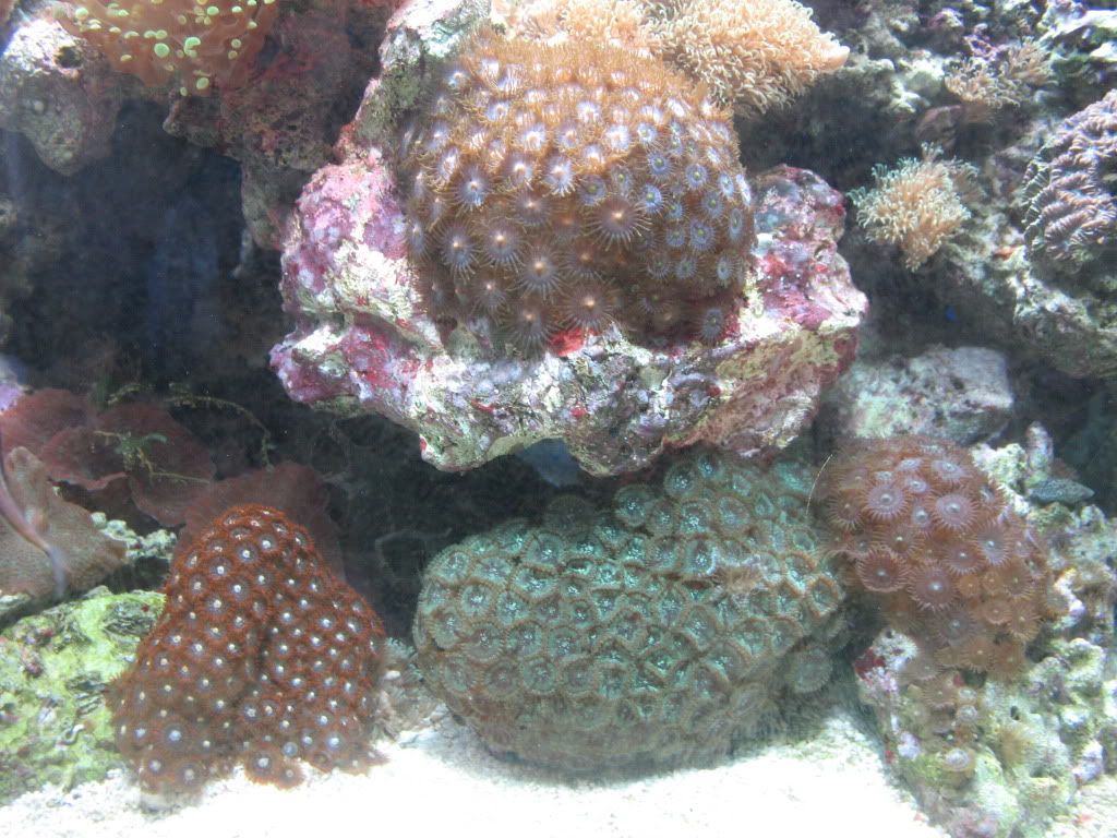 IMG_1896.jpg