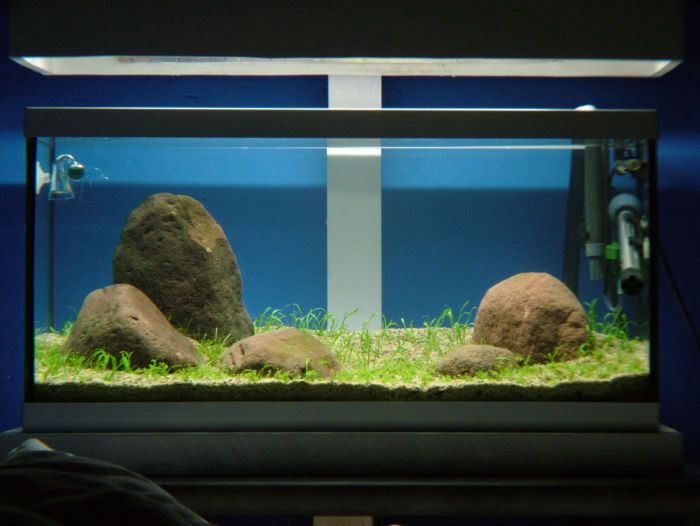 DSCF147411.jpg