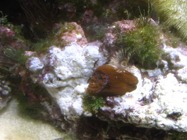 008-15.jpg