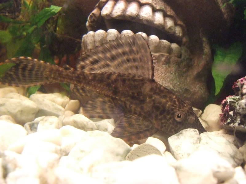 DSCF2645.jpg