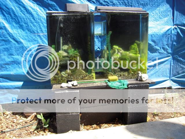 FishTank004.jpg