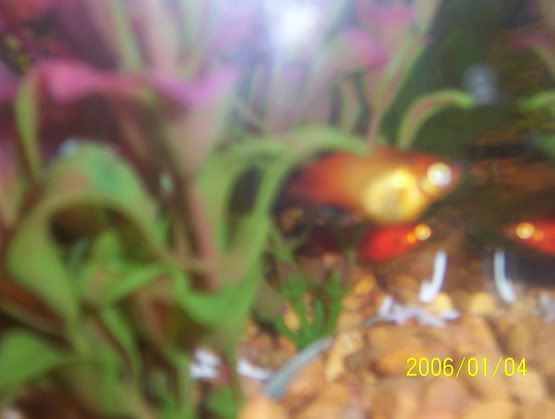 000_0716.jpg