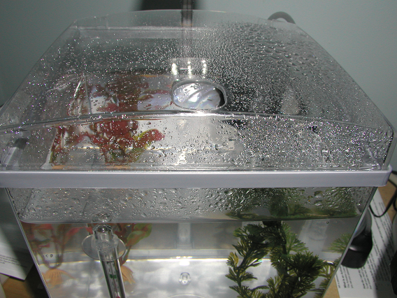 tetra_tank2.png