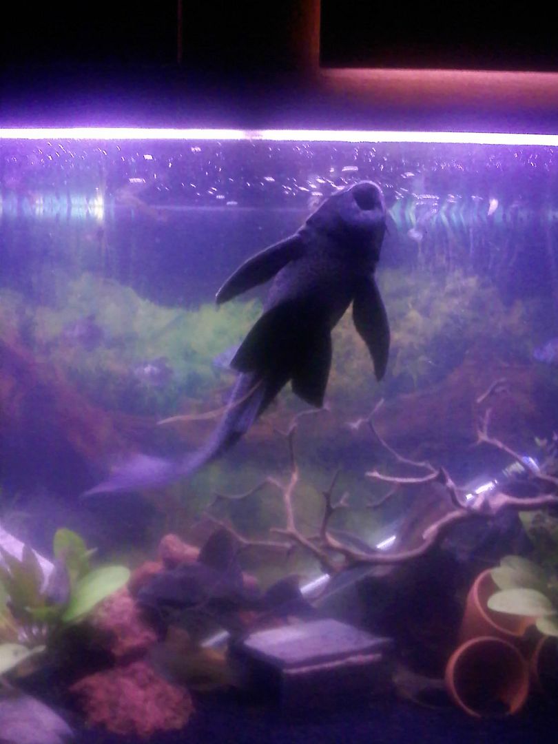 0520090106.jpg