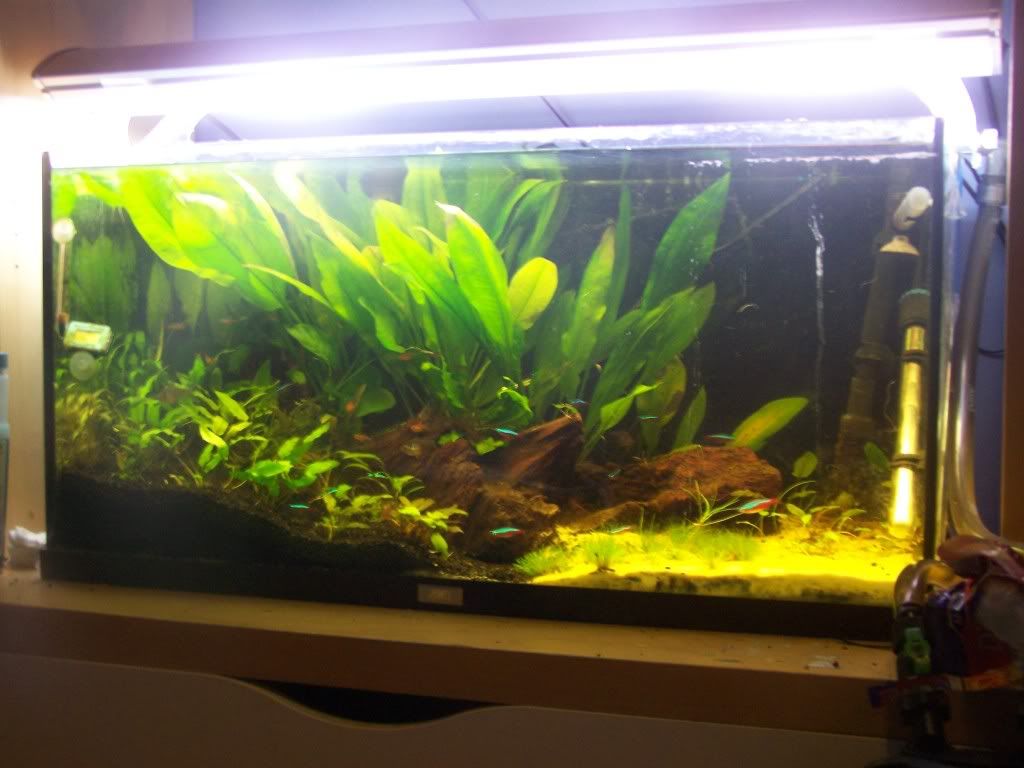 100_1566.jpg