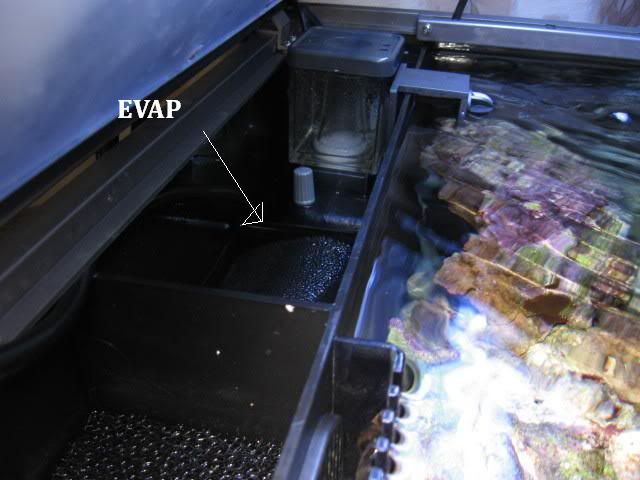 EVAP010.jpg