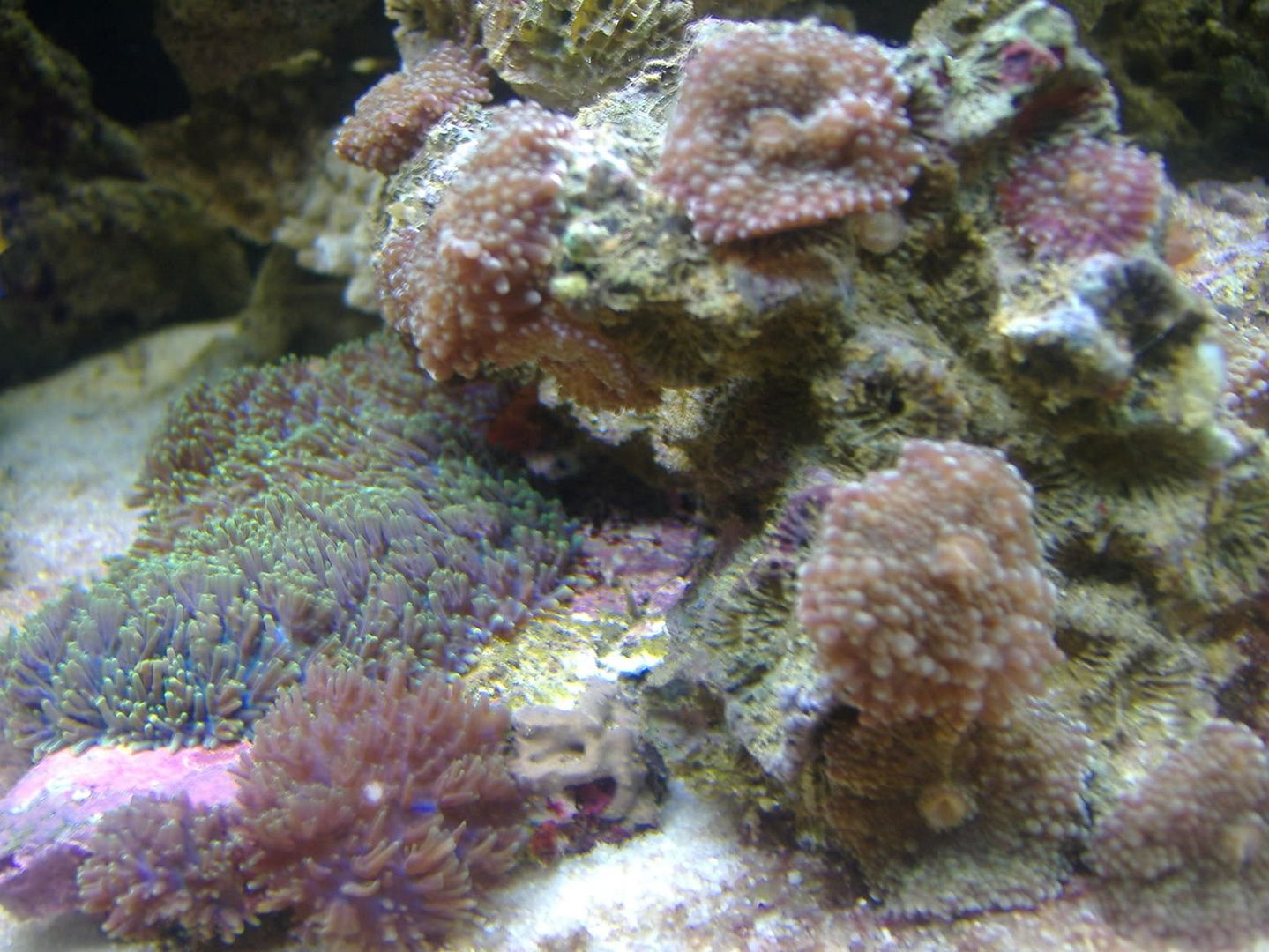 DSCF0635.jpg