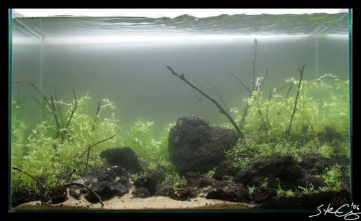 aquascape_Fall2006_9-1.jpg