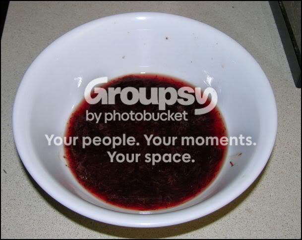 DefrostedHikariBloodworms.jpg