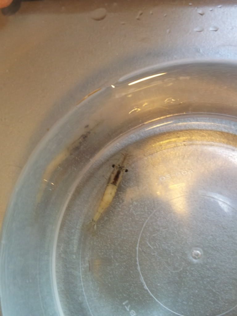 20120727_190639.jpg