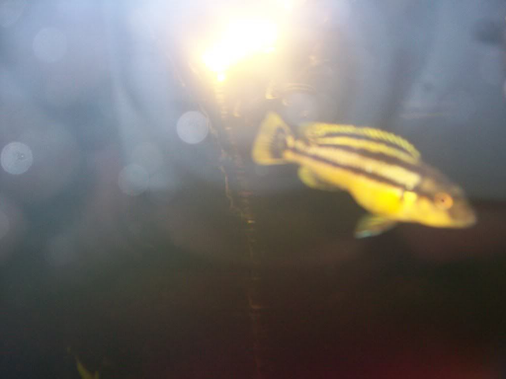 101_4397.jpg