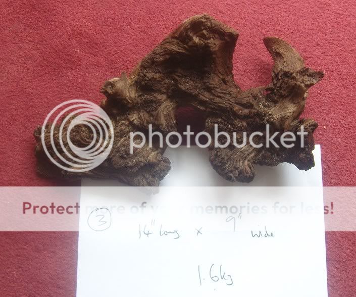 Bogwood3-1.jpg
