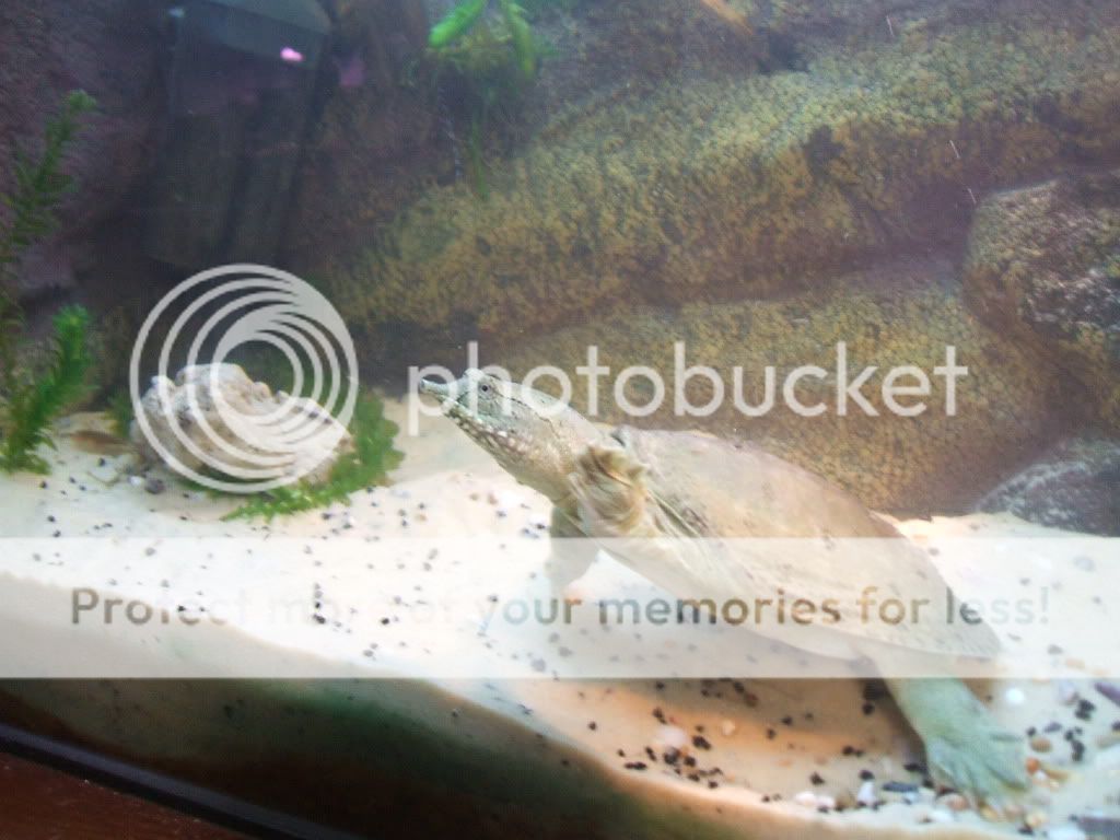 DSCF2836.jpg