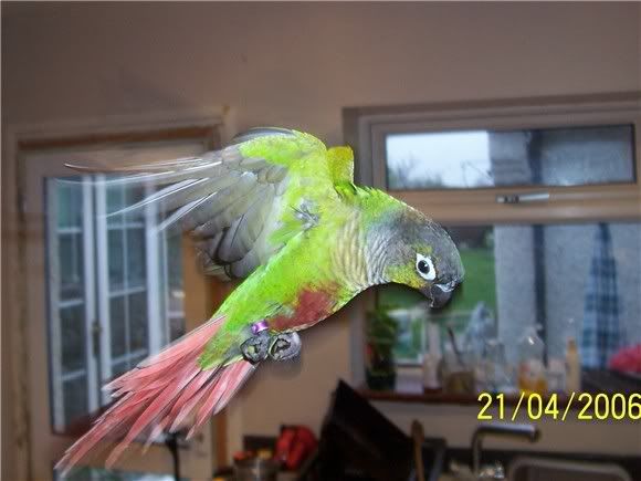 210406ozzy2.jpg