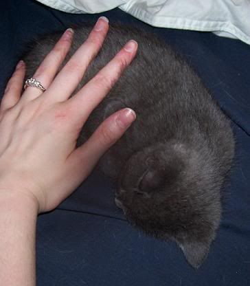 sotiny.jpg