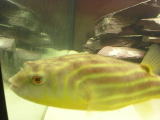 DSCN1904.jpg