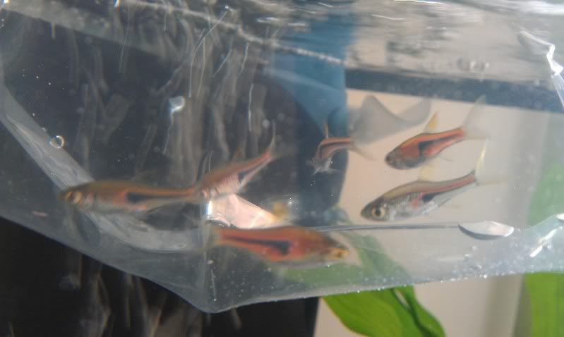 2012-03-10131732.jpg