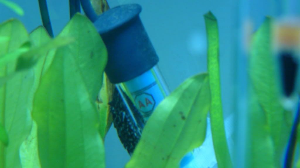 P1000869.jpg