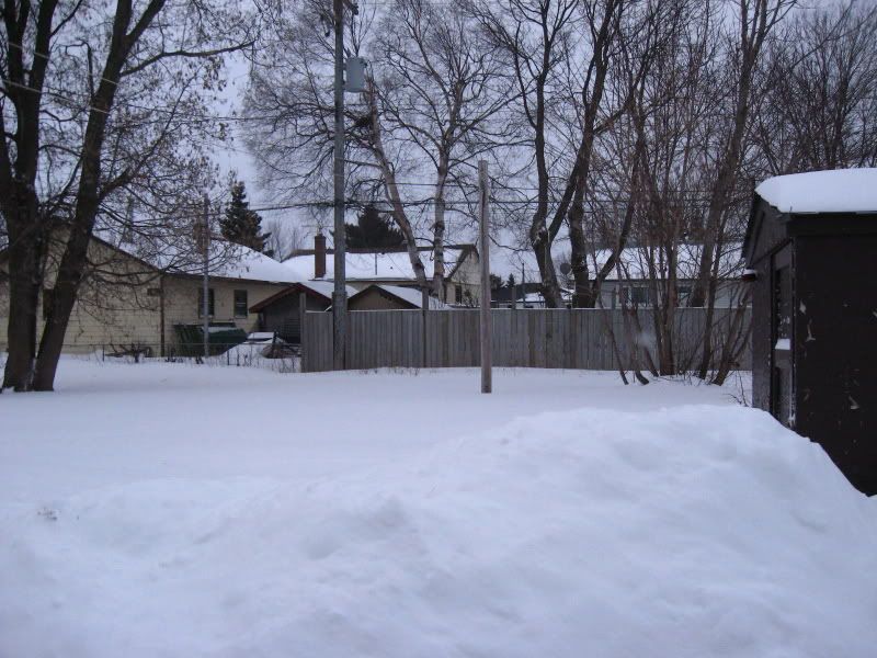 Picture061.jpg