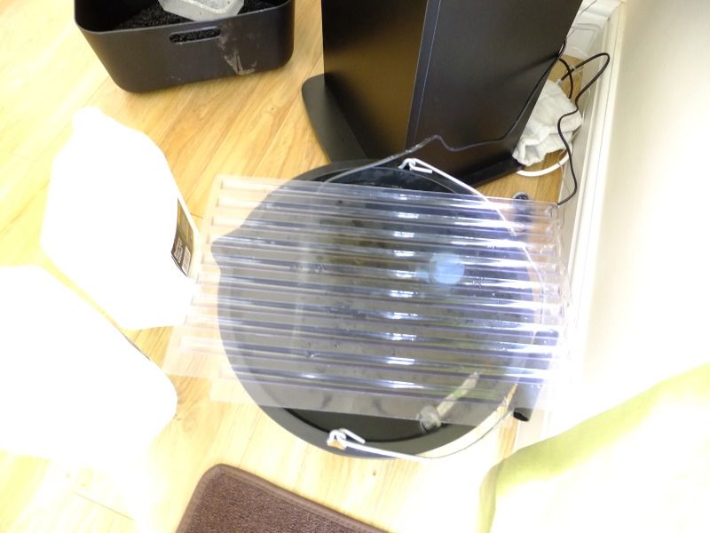 DSCF2474.jpg