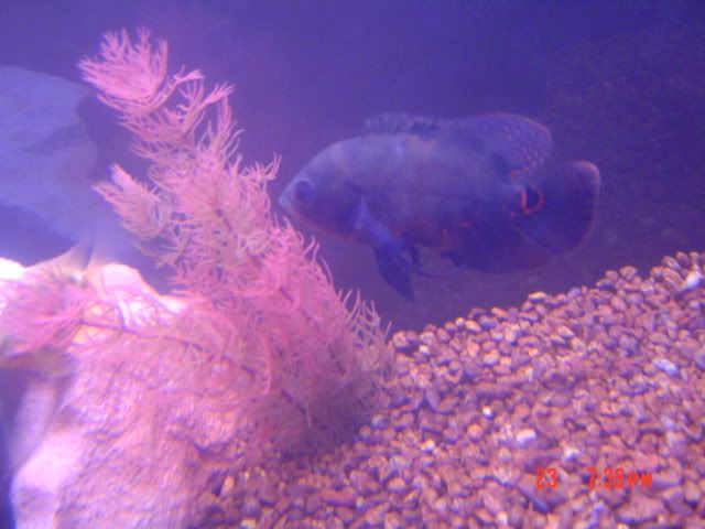 DSC03113.jpg