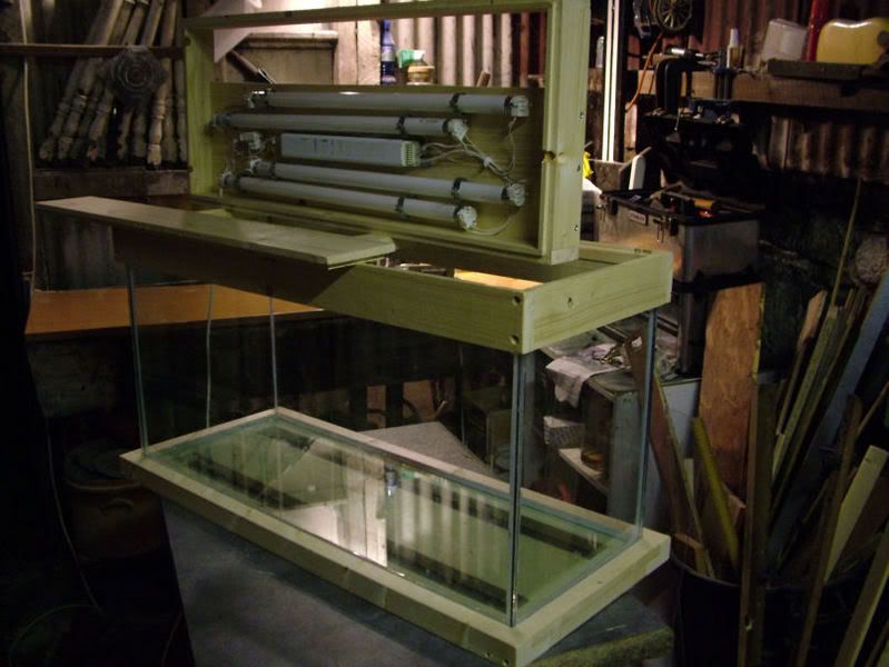 DSCF3918.jpg