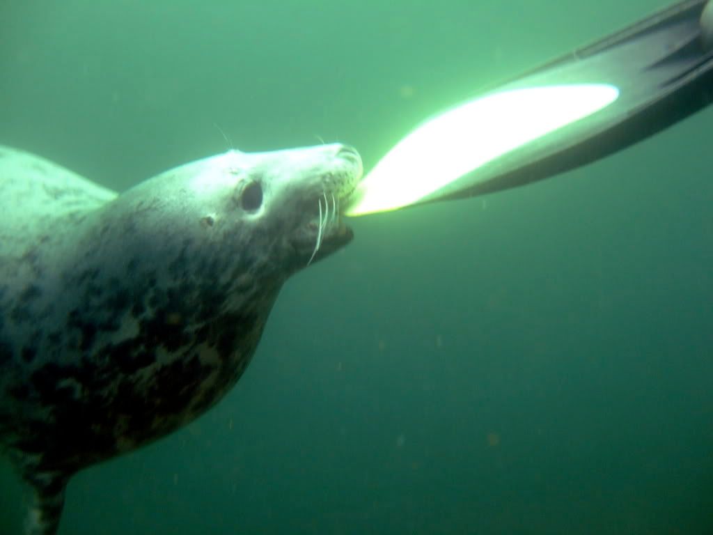 DSCF6358.jpg